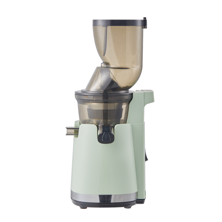 Electric Slow Juicer Cold Press - Elektrischer Slow Juicer Mixer aus Edelstahl