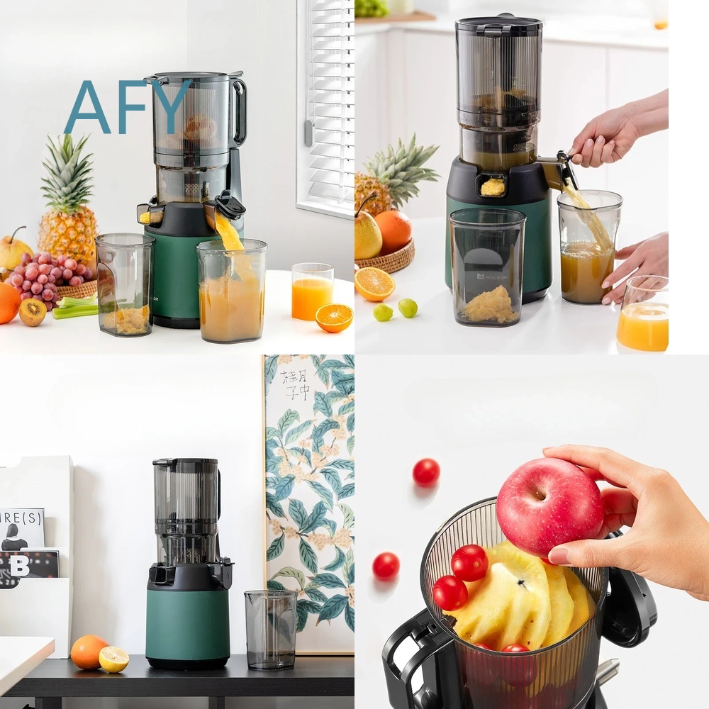 220V Slow Juicer Kaltpress-Ent – Electric Slow Juicer Cold Press Bewertung und Preis