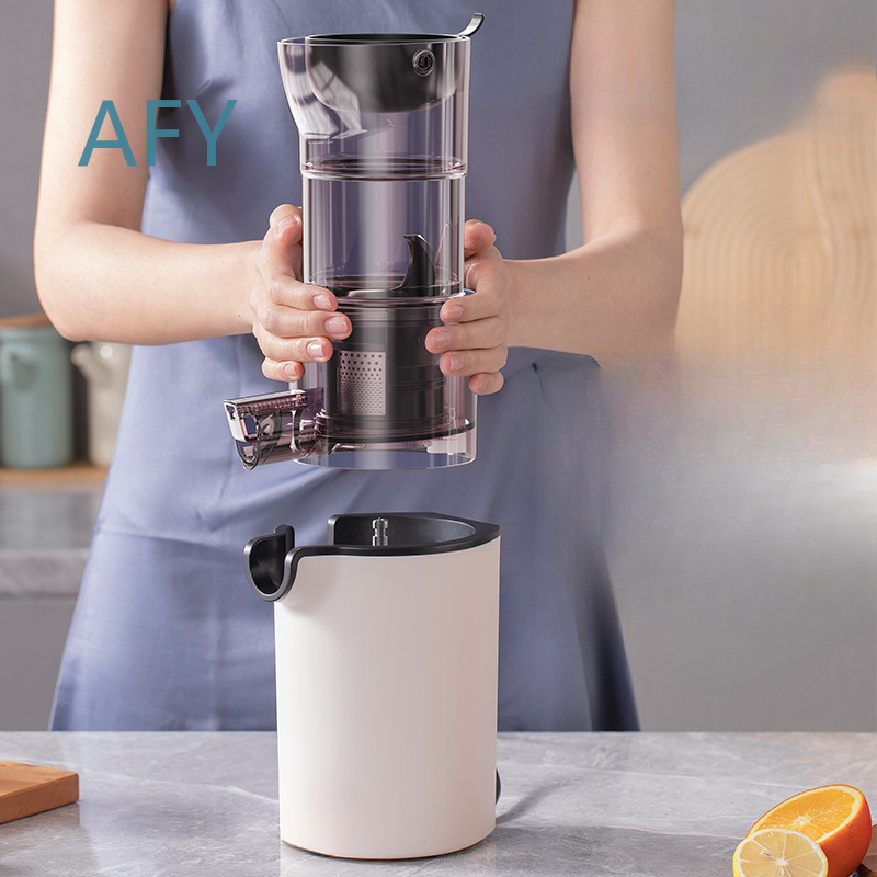 220V Elektrischer Slow Juicer  – Electric Slow Juicer Cold Press Bewertung und Preis