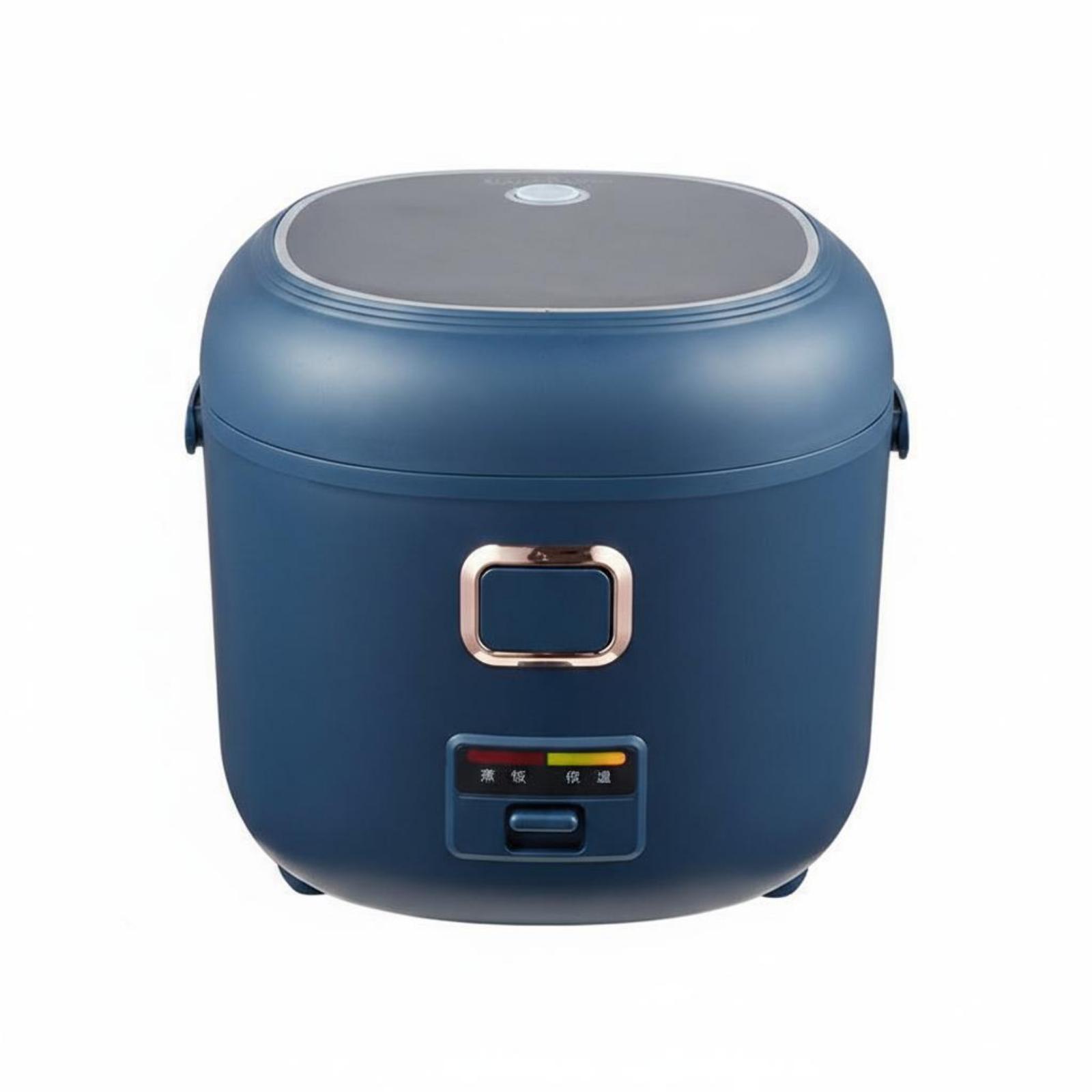 Tragbarer Reiskocher für Roadt – Small Appliances Bewertung und Preis