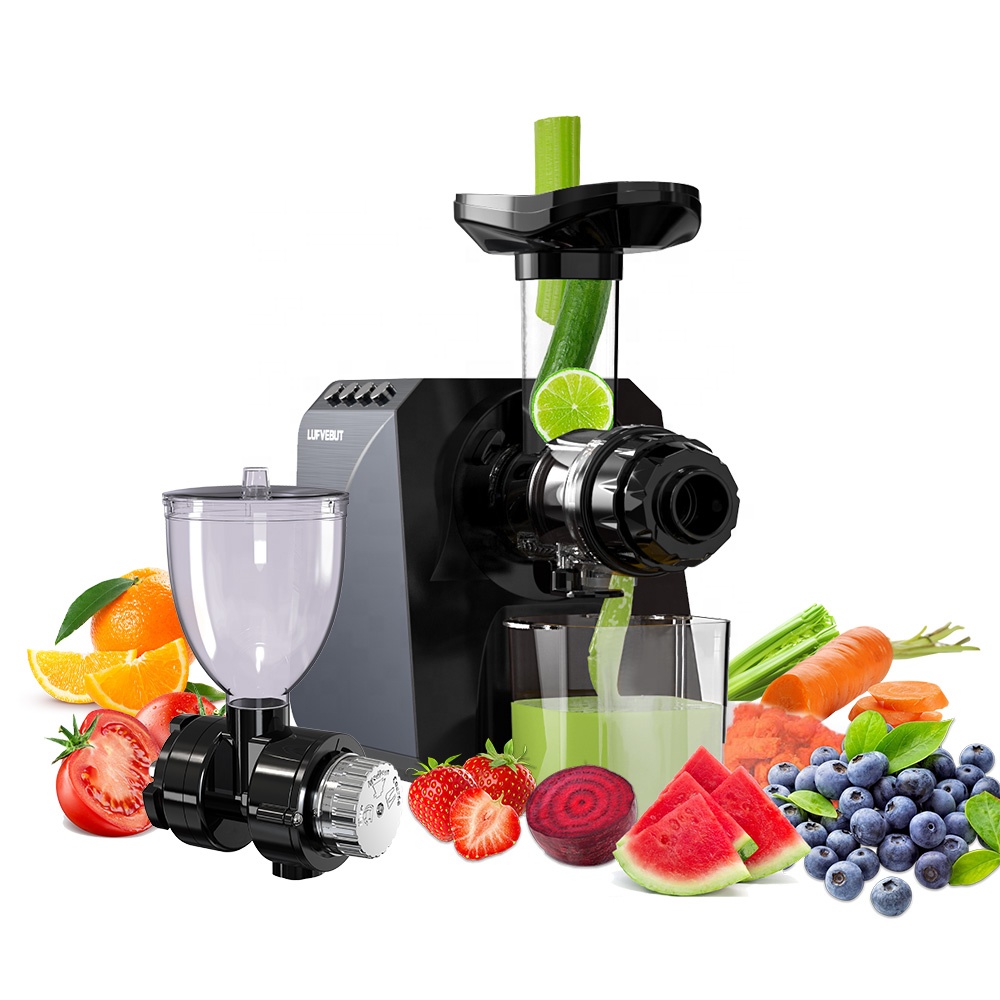 Kommerzieller Multifunktionale – Electric Slow Juicer Cold Press Bewertung und Preis