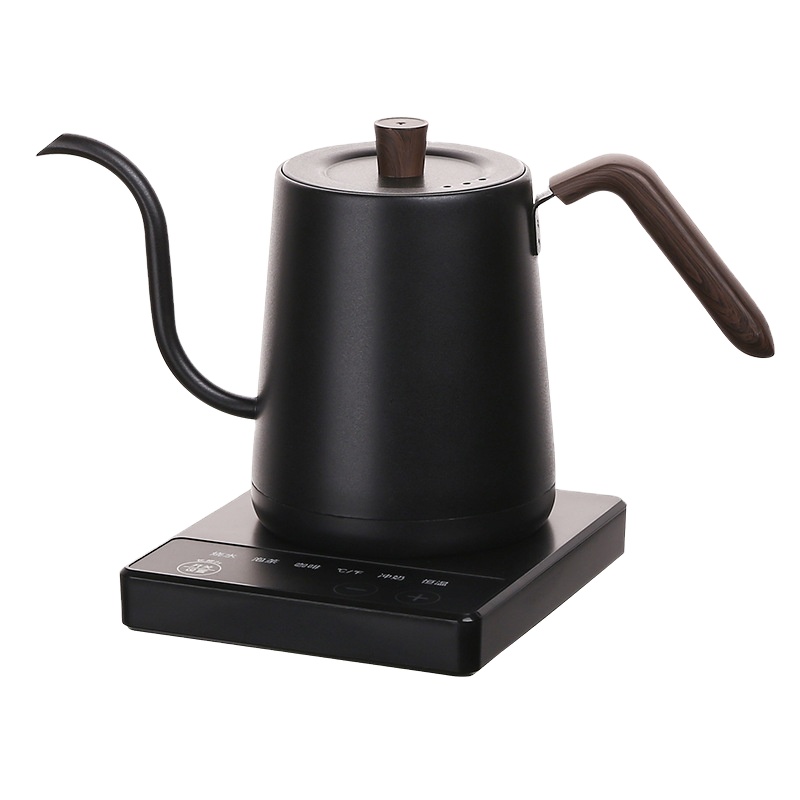 Edelstahl-Wasserkocher mit Sch – Electric Kettle Temperature Control Bewertung und Preis