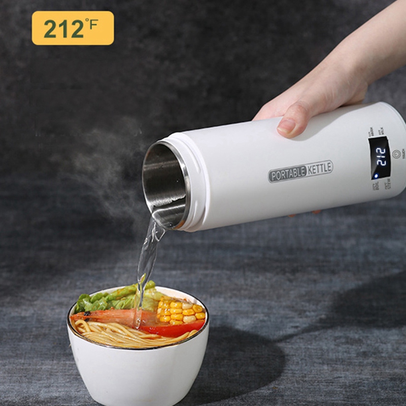 DT39 Tragbarer Reise-Wasserkoc – Electric Kettle Temperature Control Bewertung und Preis